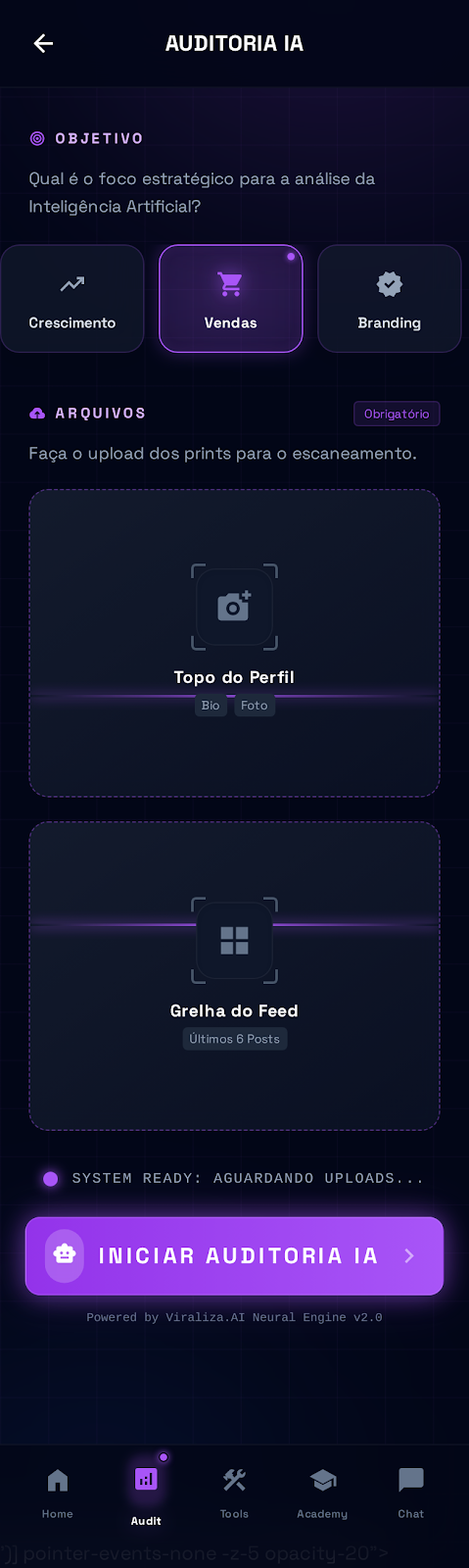 Tela de Auditoria do Viraliza AI mostrando processo de análise do perfil Instagram